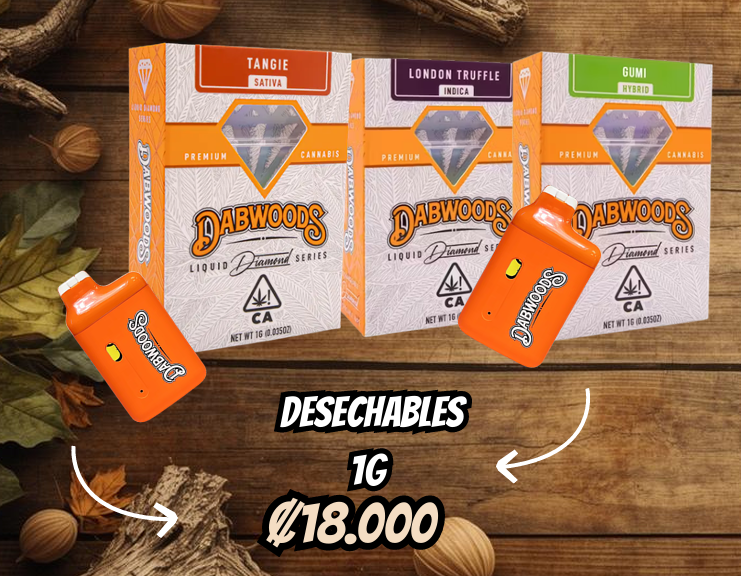 Producto de prueba